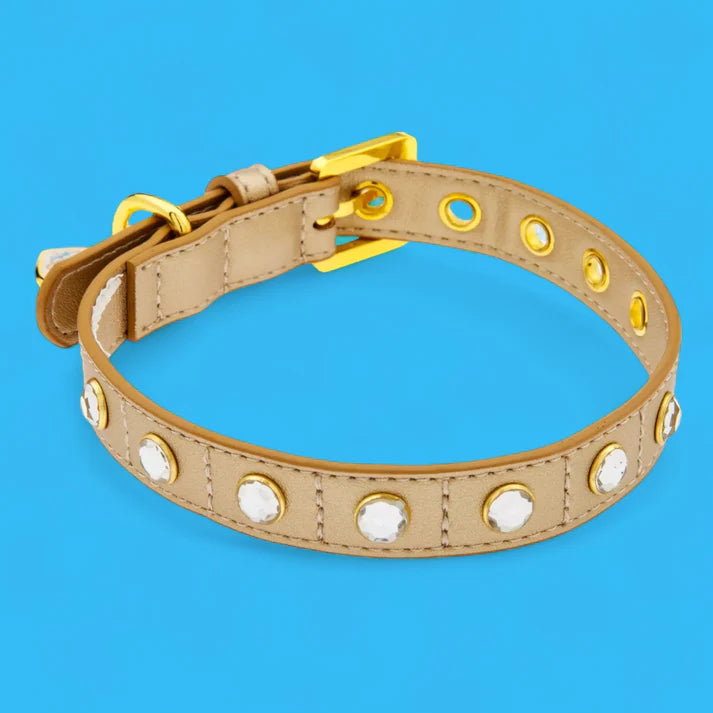 Disney x Ann Shen Aristocats Pet Collar